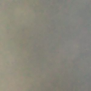 Meet your Posher, Marlene